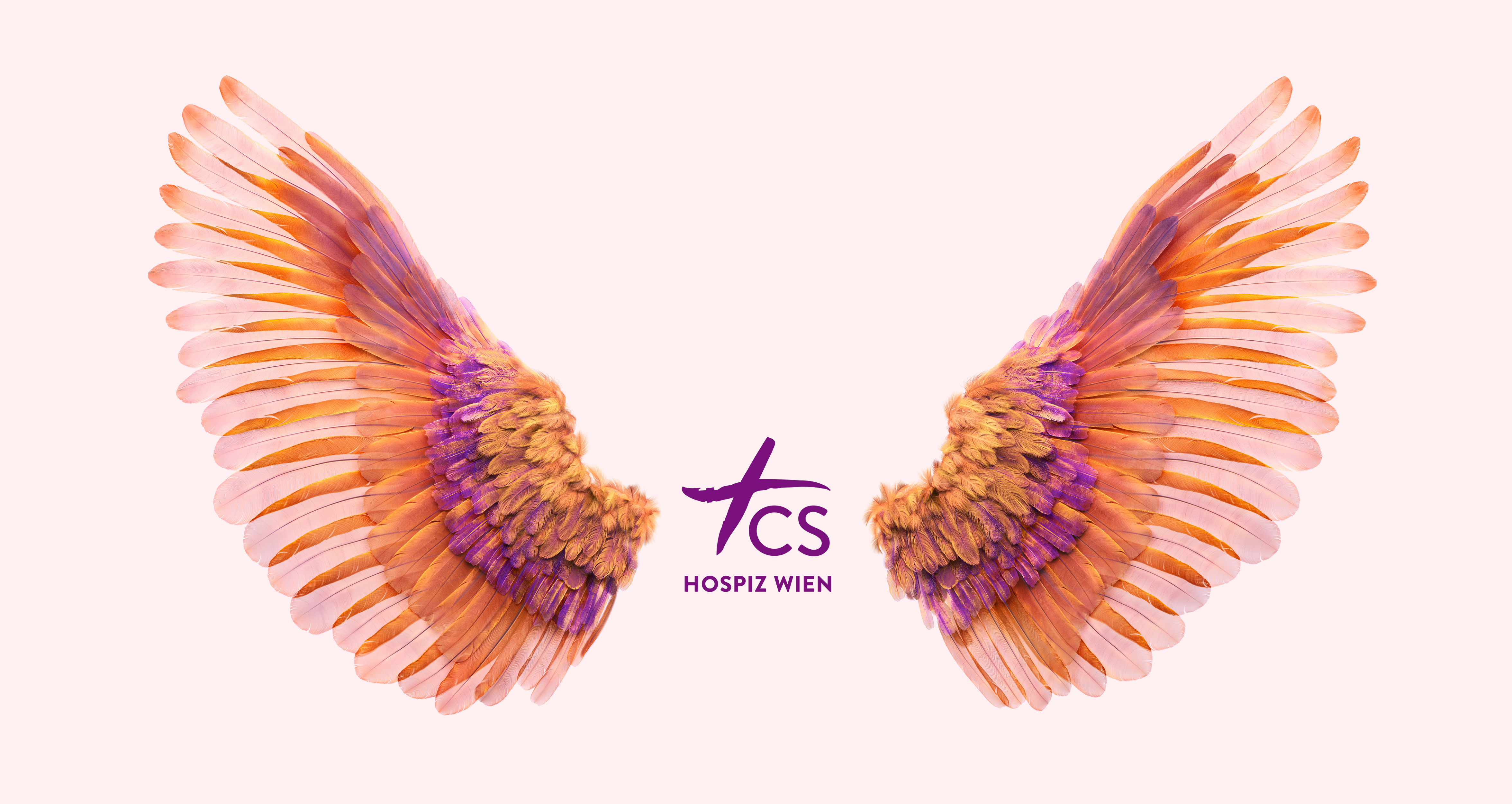 CS Hospiz Wien Wings